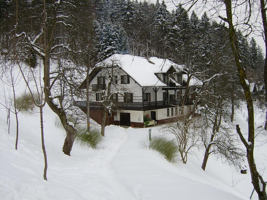 Apartments Zakrasnik Škofja Loka Quarto foto